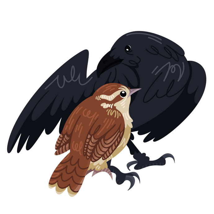 Wren &amp; Raven (2.5 x 2)