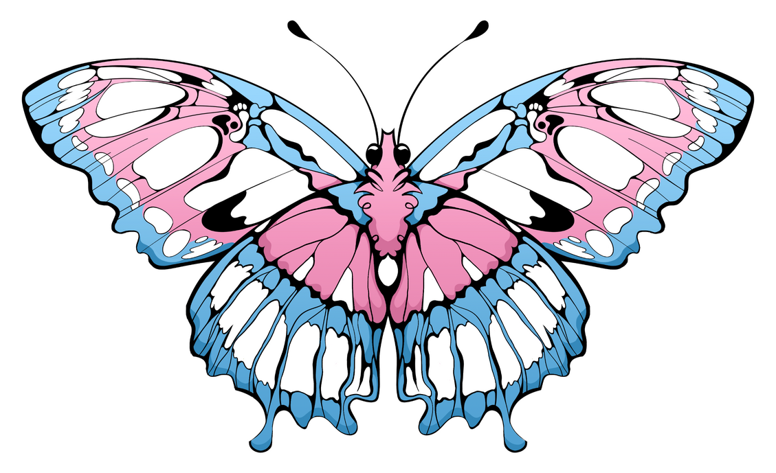 Trans Butterfly (3 x 1.8 in.)