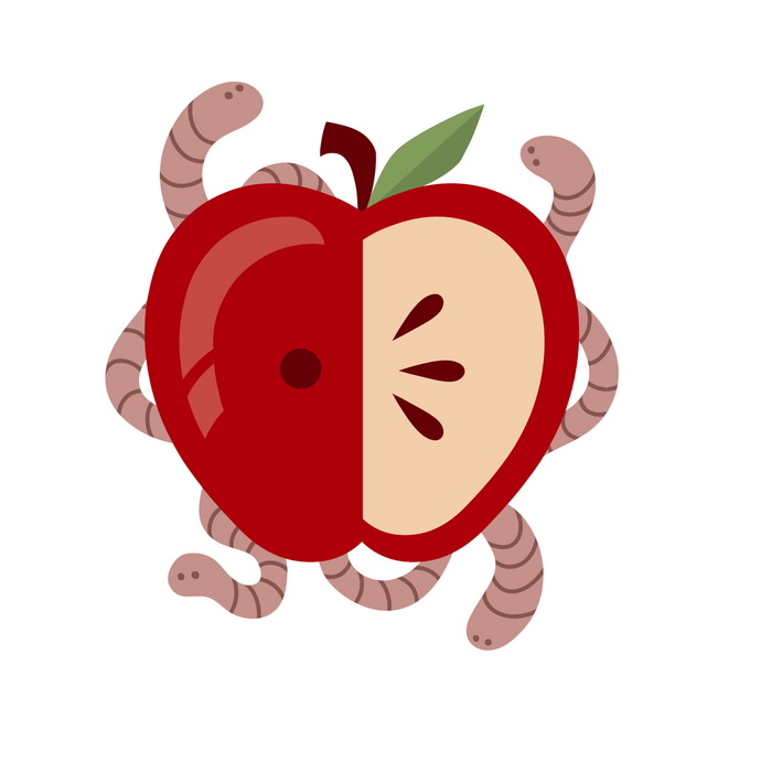 Apple (2.5 x 2.7 in.)